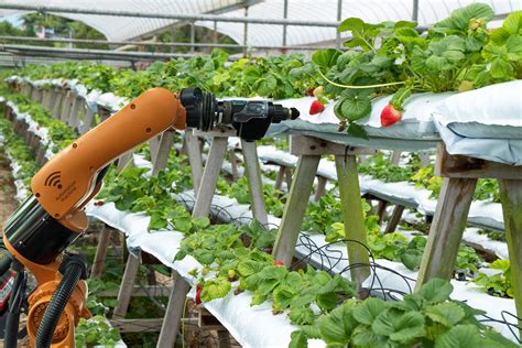 King Harvest's Little Bots: Transforming Farming from the Ground Up